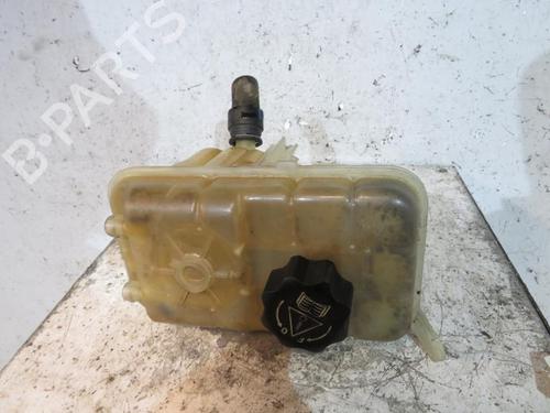 Used Expansion tank PEUGEOT 407 (6D_) 1.6 HDi 110 (6D9HZC, 6D9HYC) (109 hp) 25092255