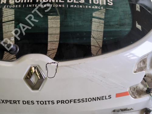 Tailgate RENAULT MEGANE III Hatchback (BZ0/1_, B3_) 1.6 dCi (BZ00, BZ12, BZ13) | BP29476257C6 