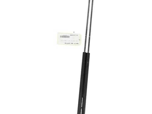tailgate-lift-support-nissan-juke-f15-2010-2011-2012-2013-2014-2015-2016-2017-2018-2019-36542508 main image