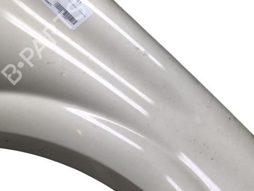 Used Right front fenders RENAULT MEGANE II (BM0/1_, CM0/1_) 1.6 16V (112 hp) 30813788