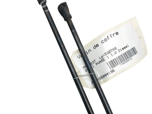 Tailgate lift support PEUGEOT 208 I (CA_, CC_) 1.6 HDi | BP25074306C138