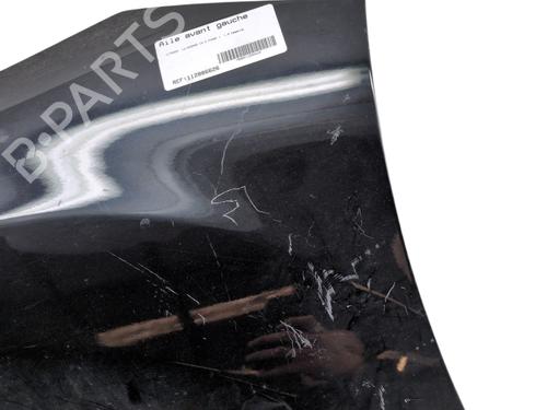 Left front fenders CITROËN C3 II (SC_) 1.2 VTi 82 | BP29508355C41 