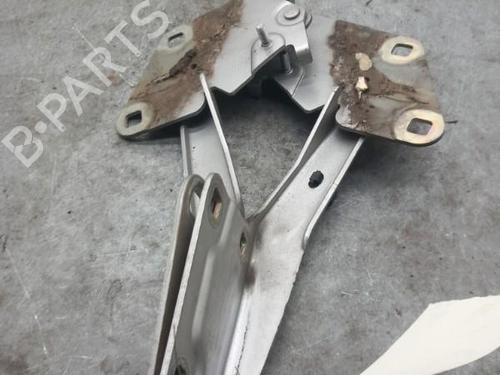 Used Hinge/Door check strap RENAULT MEGANE III Hatchback (BZ0/1_, B3_) 1.5 dCi (BZ0C) (90 hp) 25055485