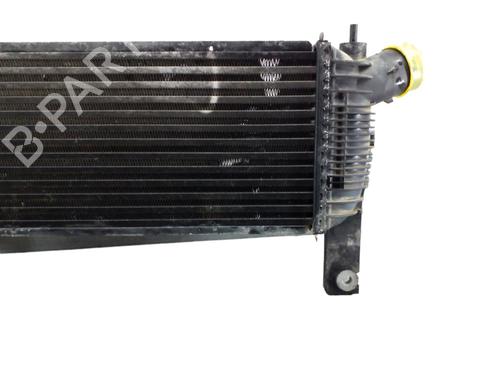 Used Intercooler NISSAN PATHFINDER III (R51) [2005-2025]  25100049