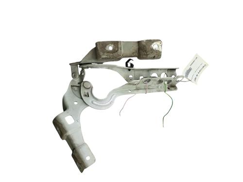 hingedoor-check-strap-citroen-ds4-nx_-2011-2012-2013-2014-2015-32185608 main image