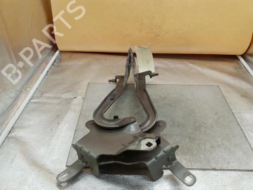 hingedoor-check-strap-renault-scenic-iii-jz01_-2008-2009-2010-2011-2012-2013-2014-2015-2016-25081511 main image
