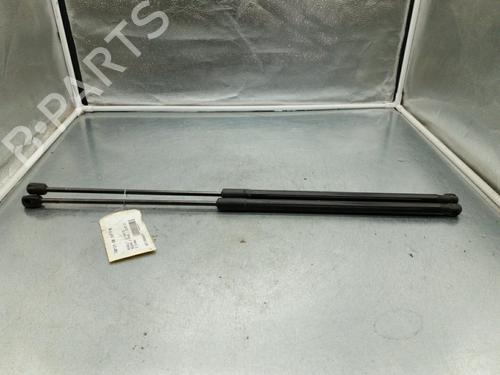 Tailgate lift support RENAULT MEGANE III Coupe (DZ0/1_) 2.0 dCi (DZ0L) | BP25104627C138 
