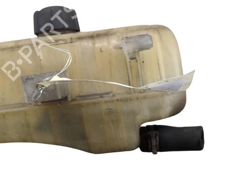 Used Expansion tank RENAULT CLIO III (BR0/1, CR0/1) 1.5 dCi (BR17, CR17) (86 hp) 30637619