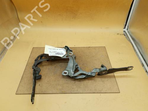 Hinge/Door check strap MINI MINI CLUBMAN (R55) Cooper S 41007211640