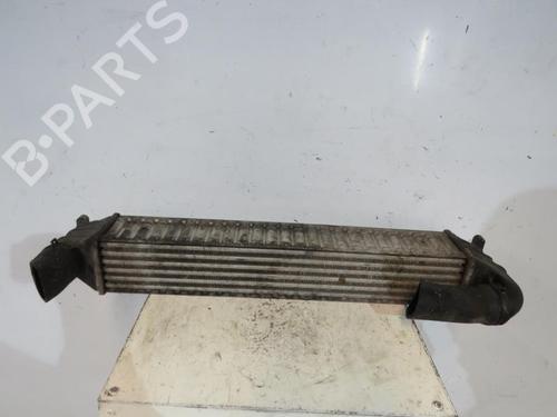 Used Intercooler FORD GALAXY I (WGR) 1.9 TDI (90 hp) 25097019