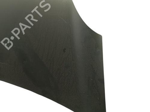 Used Hood RENAULT KANGOO / GRAND KANGOO II (KW0/1_) 1.5 dCi (KW0C, KW2C, KW4C) (106 hp) 30206328