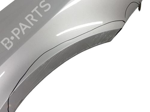right-front-fenders-renault-laguna-ii-bg01_-2001-2002-2003-2004-2005-2006-2007-25058589 main image