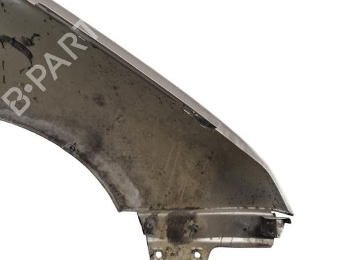 Left front fenders SKODA FABIA I (6Y2)  | BP25098944C41 