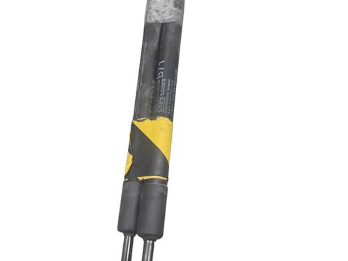 Tailgate lift support CITROËN C4 II (NC_) 1.6 HDi 115 | BP29587810C138 