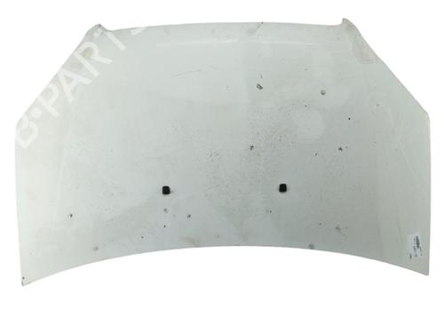Hood FIAT DOBLO Box Body/MPV (223_)  | BP25102794C1 