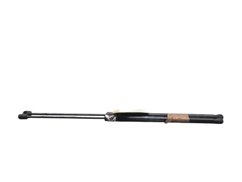 Tailgate lift support CITROËN C4 Picasso II  | BP25056701C138 