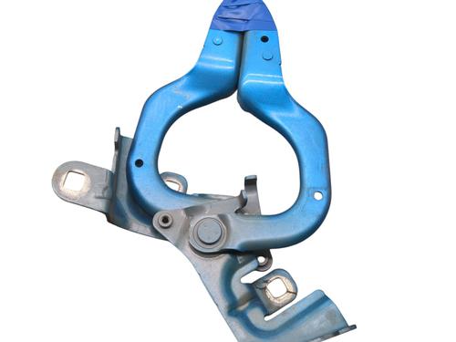 Used Hinge/Door check strap RENAULT CAPTUR I (J5_, H5_) 1.5 dCi 90 (J5N4, J5M5, J5MW, J5M6, J5AL, J5AJ) (90 hp) 30204130