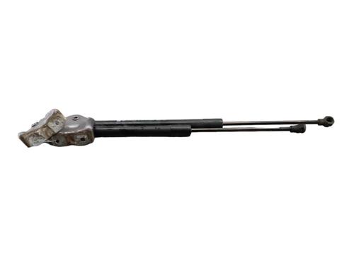 Tailgate lift support RENAULT CLIO IV (BH_) 0.9 TCe 90 (BHNF, BHMA, BHMH, BHJK, BHJR) | BP25100196C138 