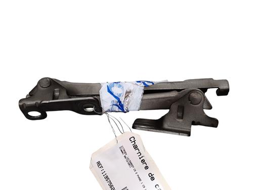 hingedoor-check-strap-citroen-c3-ii-sc_-2009-31883499 main image