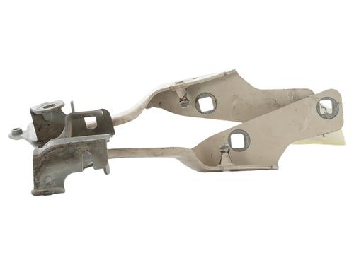 hingedoor-check-strap-renault-captur-i-j5_-h5_-2013-38636576 main image