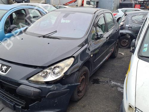 Right rear door PEUGEOT 307 (3A/C) 1.6 HDi | BP25076960C5 