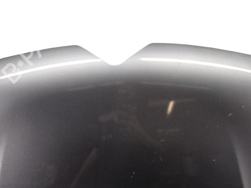 Hood CITROËN C4 II (NC_) 1.6 BlueHDi 120 | BP29221989C1 