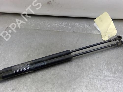 Used Tailgate lift support FIAT PUNTO EVO (199_) 1.3 D Multijet (199AXC1A, 199BXC1A, 199AXT1A, 199BXT1A) (75 hp) 25068341
