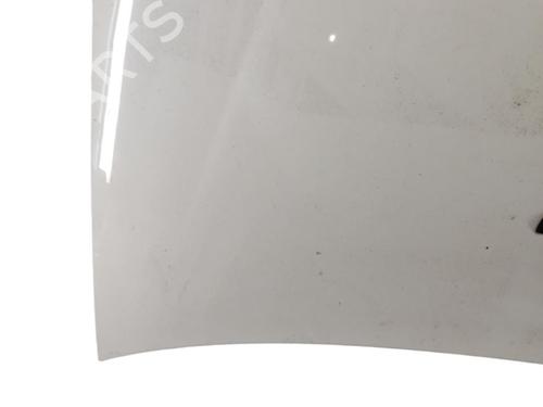 Hood FIAT PUNTO (188_)  | BP25103086C1 