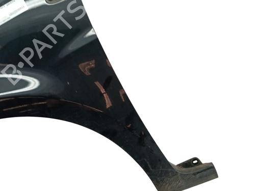 Left front fenders RENAULT CLIO III (BR0/1, CR0/1) 1.2 16V | BP26388338C41 