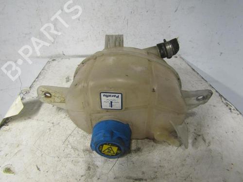 Used Expansion tank FIAT FIORINO Box Body/MPV (225_) 1.3 D Multijet (95 hp) 25064378