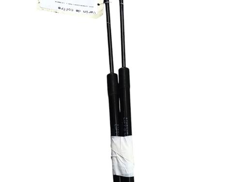 Used Tailgate lift support DACIA DUSTER (HS_) 1.2 TCe 125 4x4 (125 hp) 25220936