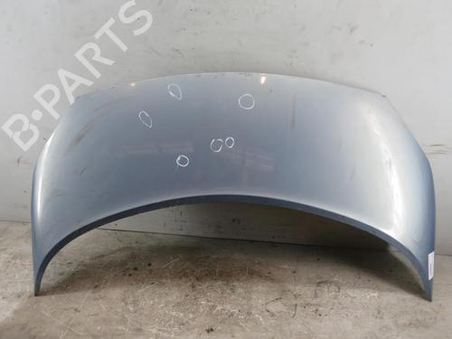 Used Hood RENAULT SCÉNIC II (JM0/1_) 1.9 dCi (125 hp) 25095164