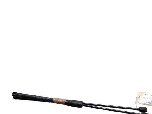 Tailgate lift support VW POLO V (6R1, 6C1) 1.6 TDI | BP25076300C138 