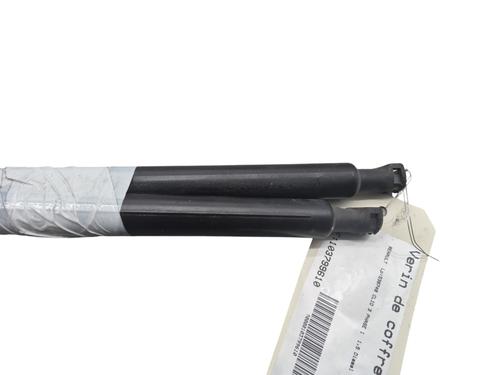 Tailgate lift support RENAULT CLIO III (BR0/1, CR0/1) 1.5 dCi (BR17, CR17) | BP25060886C138 