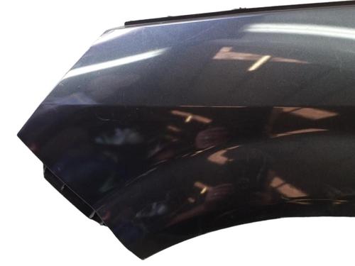 Left front fenders RENAULT SCÉNIC II (JM0/1_)  | BP25072788C41 
