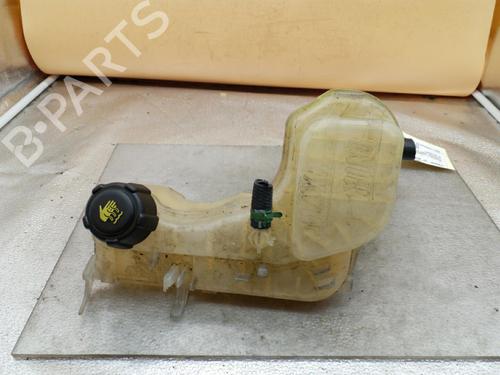 Expansion tank RENAULT LAGUNA III Grandtour (KT0/1) 2.0 dCi (KT0M, KT0N, KT0S, KT19, KT1F) 217100014R