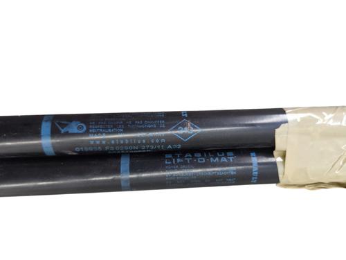 Tailgate lift support RENAULT MEGANE III Coupe (DZ0/1_) 1.5 dCi (DZ09, DZ0D, DZ1F, DZ1G, DZ14, DZ29) | BP26520721C138 