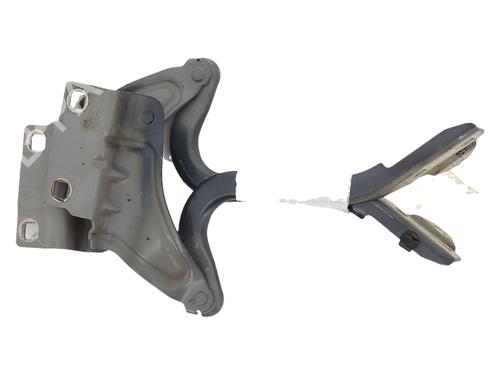 hingedoor-check-strap-renault-megane-iv-hatchback-b9amn_-2015-33610422 main image