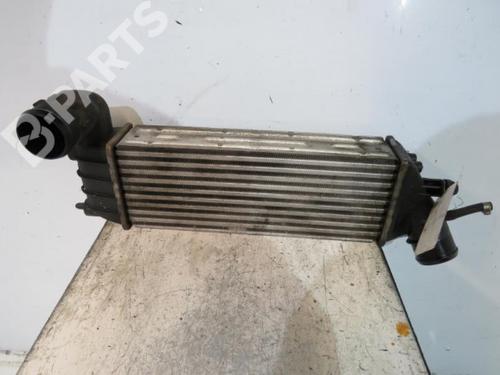 Used Intercooler Intercooler CITROËN C8 (EA_, EB_) 2.2 HDi (128 hp) 10610145 10610145