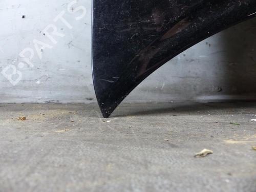 hood-toyota-rav-4-ii-_a2_-2000-2001-2002-2003-2004-2005-25065022 main image