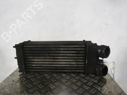 Used Intercooler CITROËN XSARA PICASSO (N68) 1.6 HDi (109 hp) 25084925