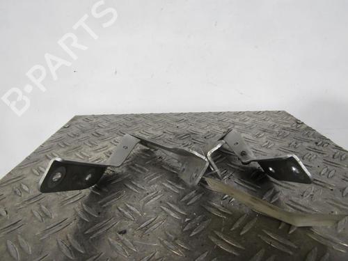 Used Hinge/Door check strap PEUGEOT 607 (9D, 9U) 2.2 HDi (133 hp) 25084466