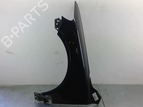 Left front fenders VW TOUAREG (7LA, 7L6, 7L7) 2.5 R5 TDI | BP25078041C41 