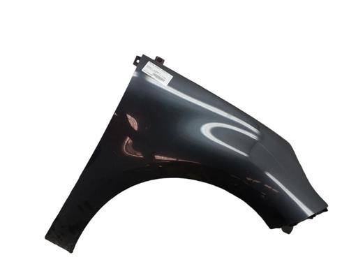 Right front fenders RENAULT SCÉNIC III (JZ0/1_) 1.5 dCi (JZ02, JZ0R) | BP25103947C42 