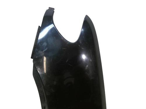 Left front fenders BMW X5 (E53) 3.0 d | BP25110336C41 