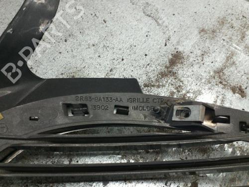 Grille JAGUAR S-TYPE II (X200) 3.0 V6 | BP25062100C40 