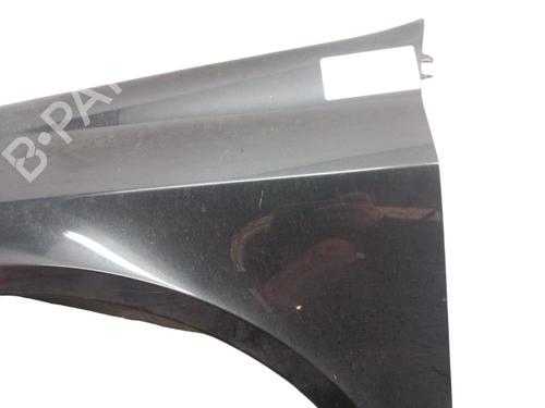 Left front fenders RENAULT LAGUNA II (BG0/1_) 1.9 dCi (BG08, BG0G) | BP25073078C41 