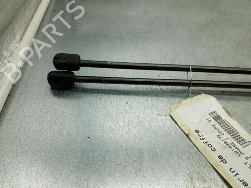Tailgate lift support RENAULT MEGANE III Coupe (DZ0/1_) 2.0 dCi (DZ0L) | BP25104627C138 