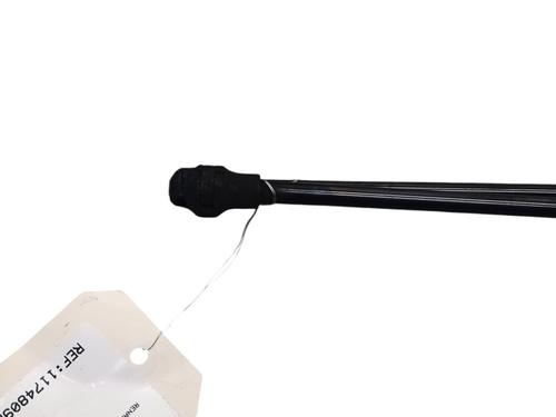 Gassdemper Bakluke RENAULT SCÉNIC III (JZ0/1_) 1.6 dCi (JZ00, JZ12) (130 hp) 30813792