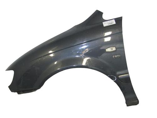 Left front fenders HYUNDAI TRAJET (FO) 2.0 CRDi | BP25082889C41 